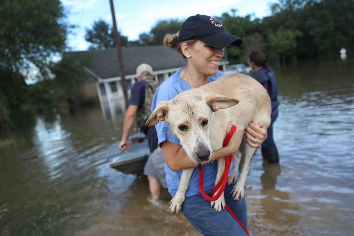 Inondations en Louisiane Des équipes de secouristes se mobilisent pour