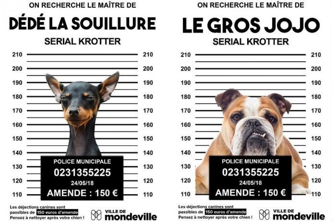 La campagne décalée d'une ville française contre les crottes de chiens