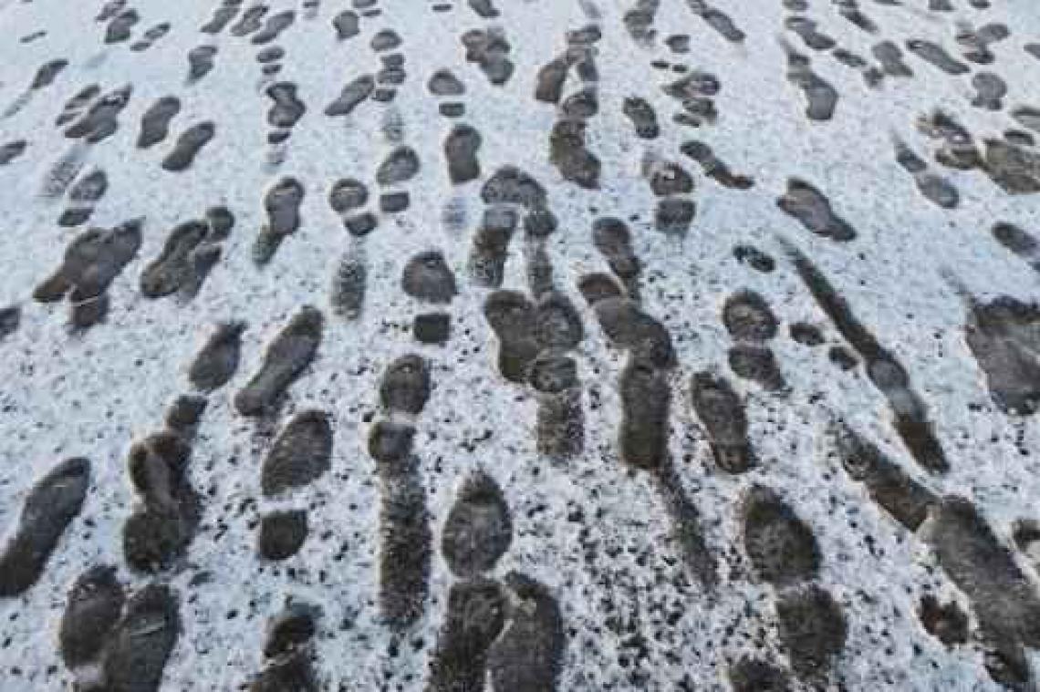 Weerbericht Eerste vakantieweek met winterse neerslag in de Ardennen
