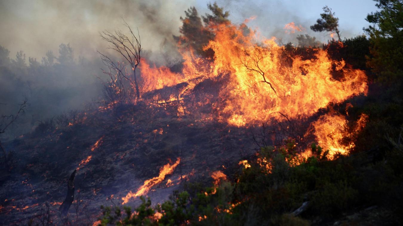 Bosbranden Griekenland «Meeste mensen verkiezen te blijven» Metrotime