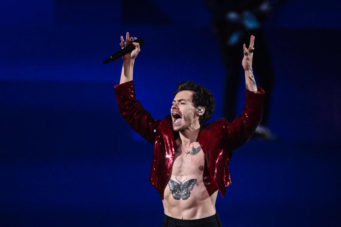 Nu ook vastgelegd op beeld: Harry Styles heeft een ‘broske’ - Metrotime